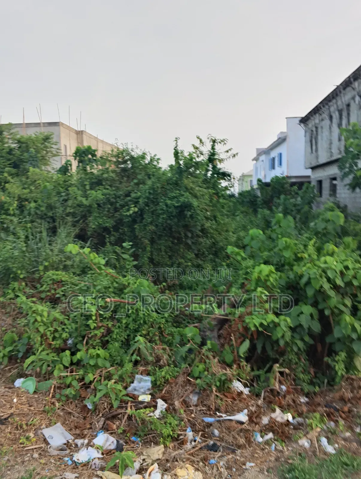 24hrs Light Estate Selling 450sqm 70million Cofo in Bogije