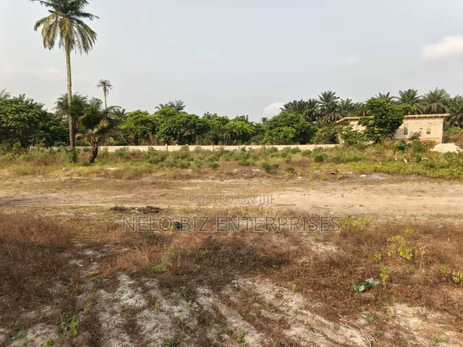 2 Solid Plots of Land in Owerri