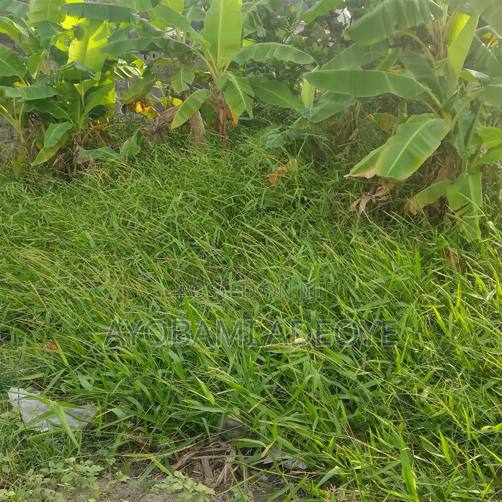 Plot for Sale at Ikoyi and Oniru Lagos Nigeria in Ikoyi