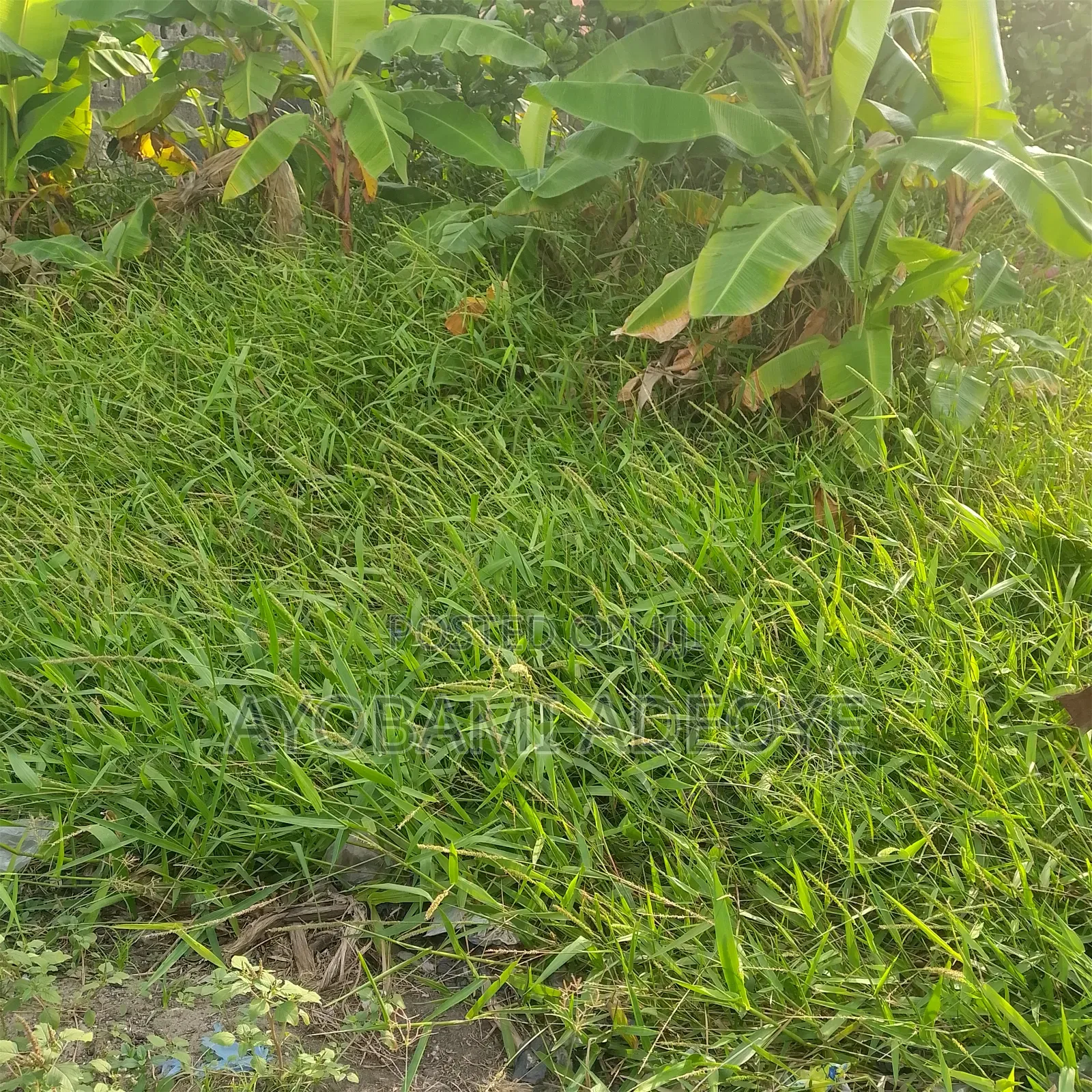 Plot for Sale at Ikoyi and Oniru Lagos Nigeria in Ikoyi
