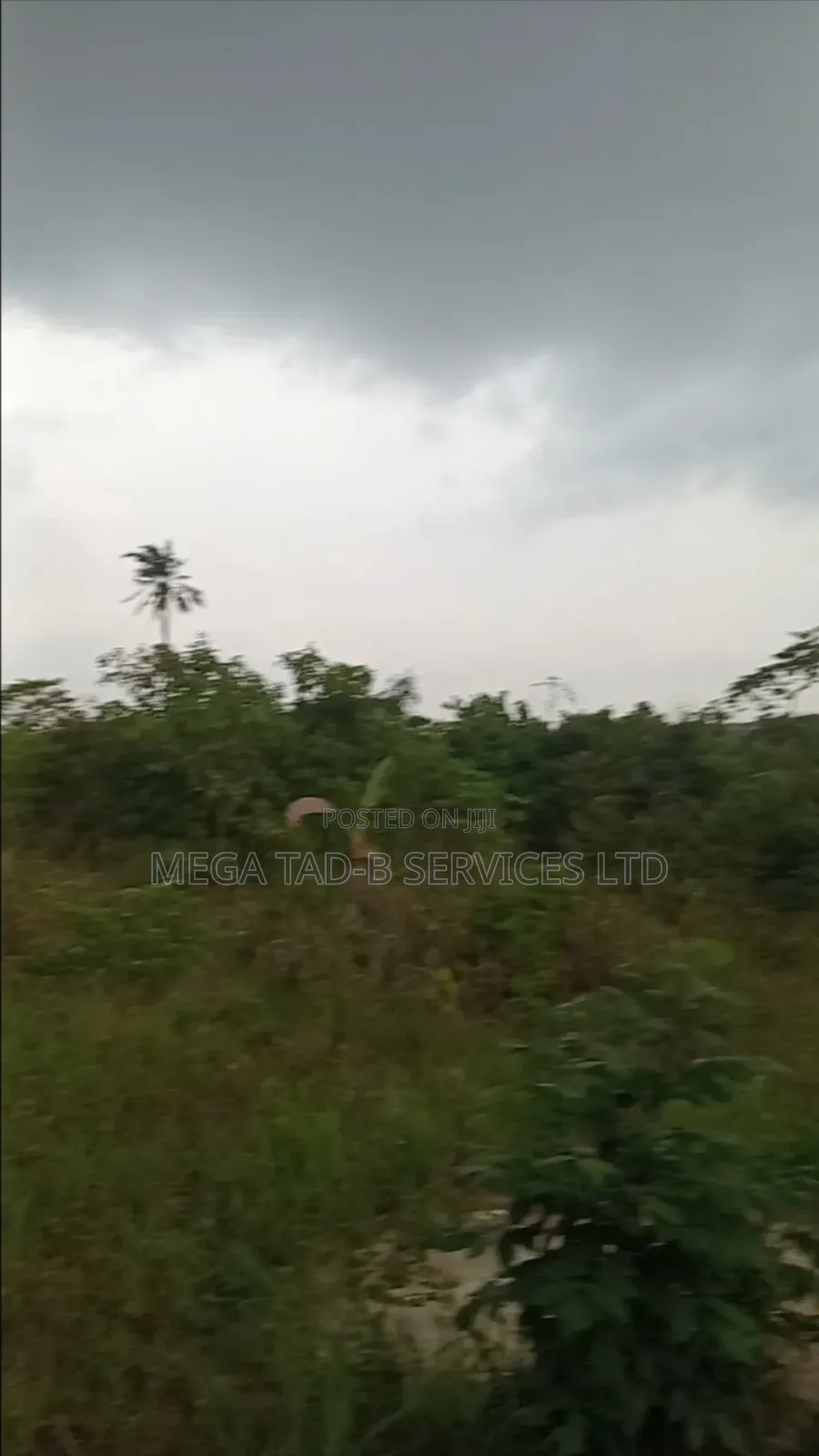 Land For Sale in Berger