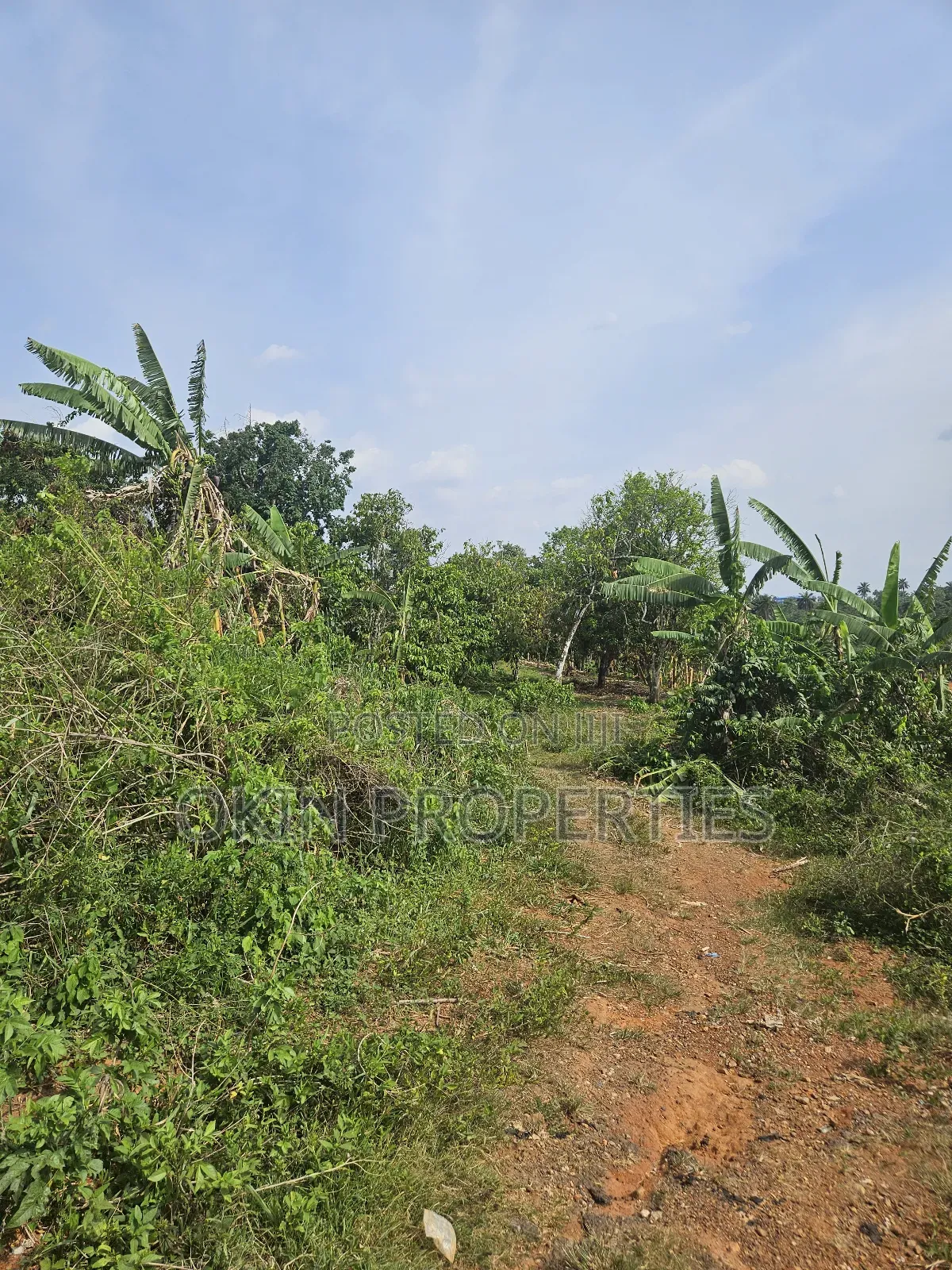 Commercial Industrial and Farm Estate Land in Osogbo
