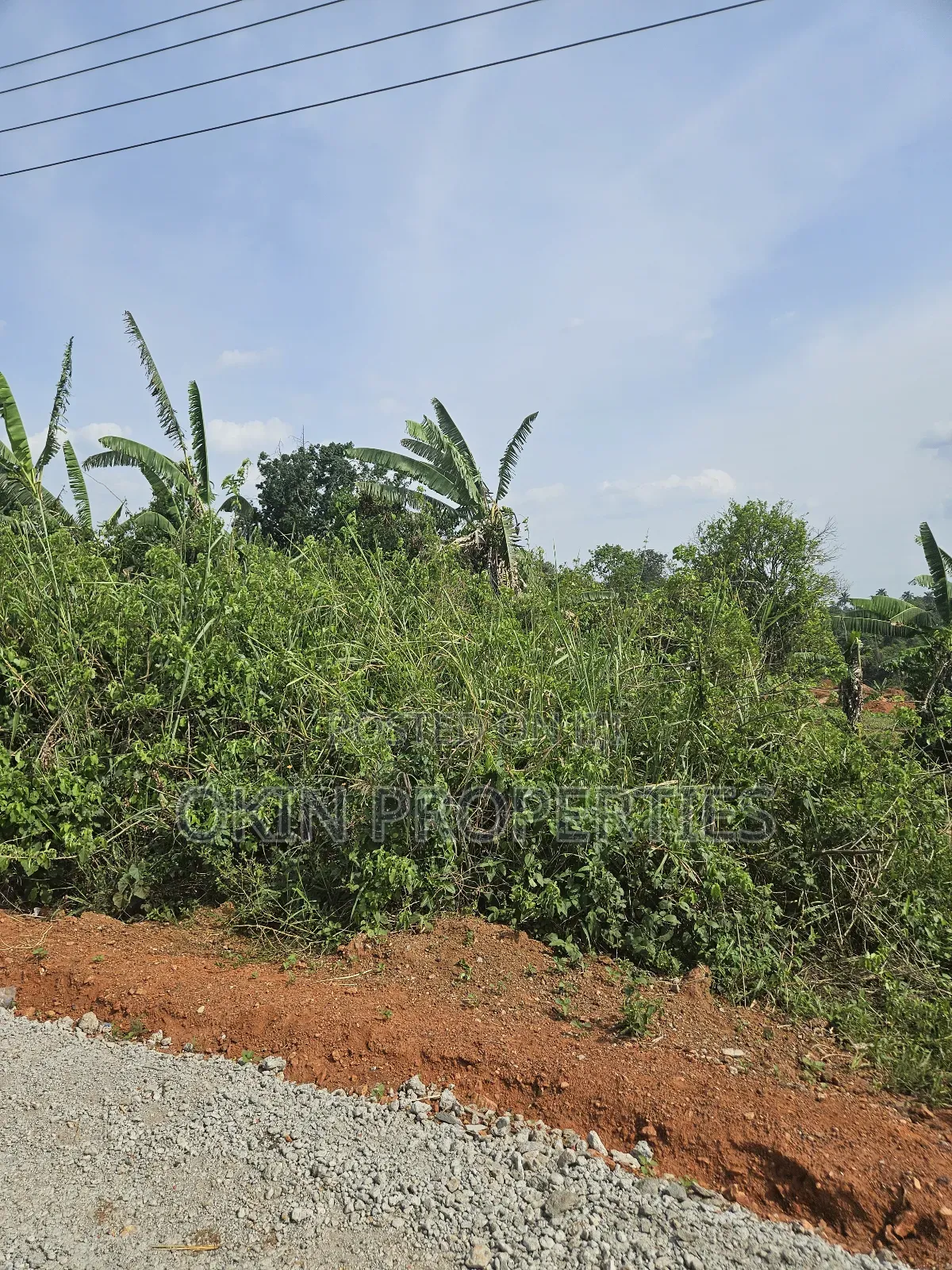 Commercial Industrial and Farm Estate Land in Osogbo