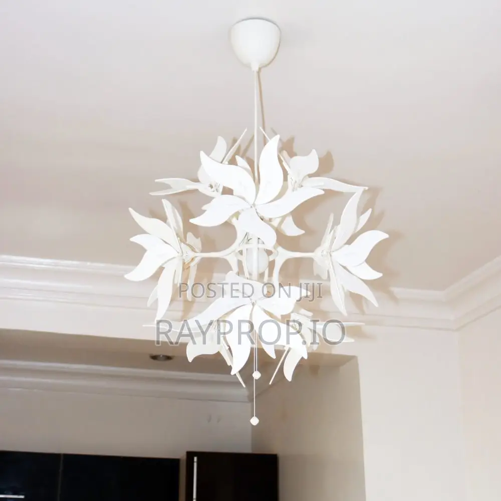 647888wd - 1 Bedroom Shortlet in Ajao Estate in Ajao Estate