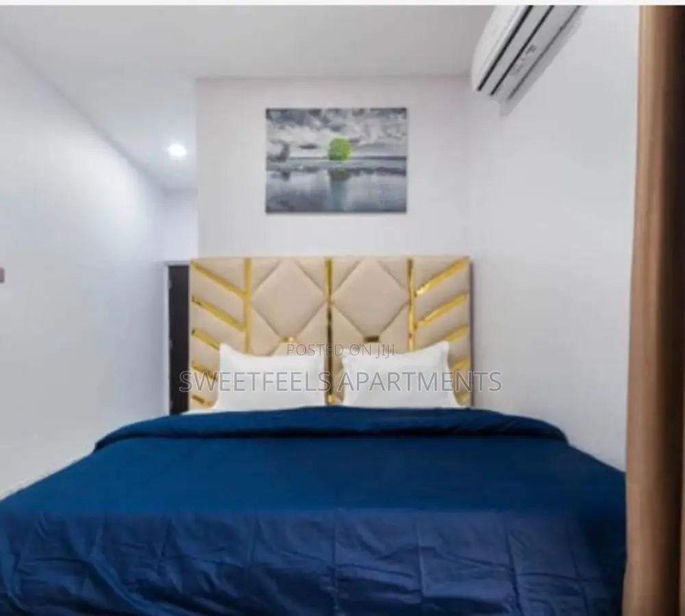 Beautifully Furnished Four Bedroom Terraced Duplex in Thomas Estate