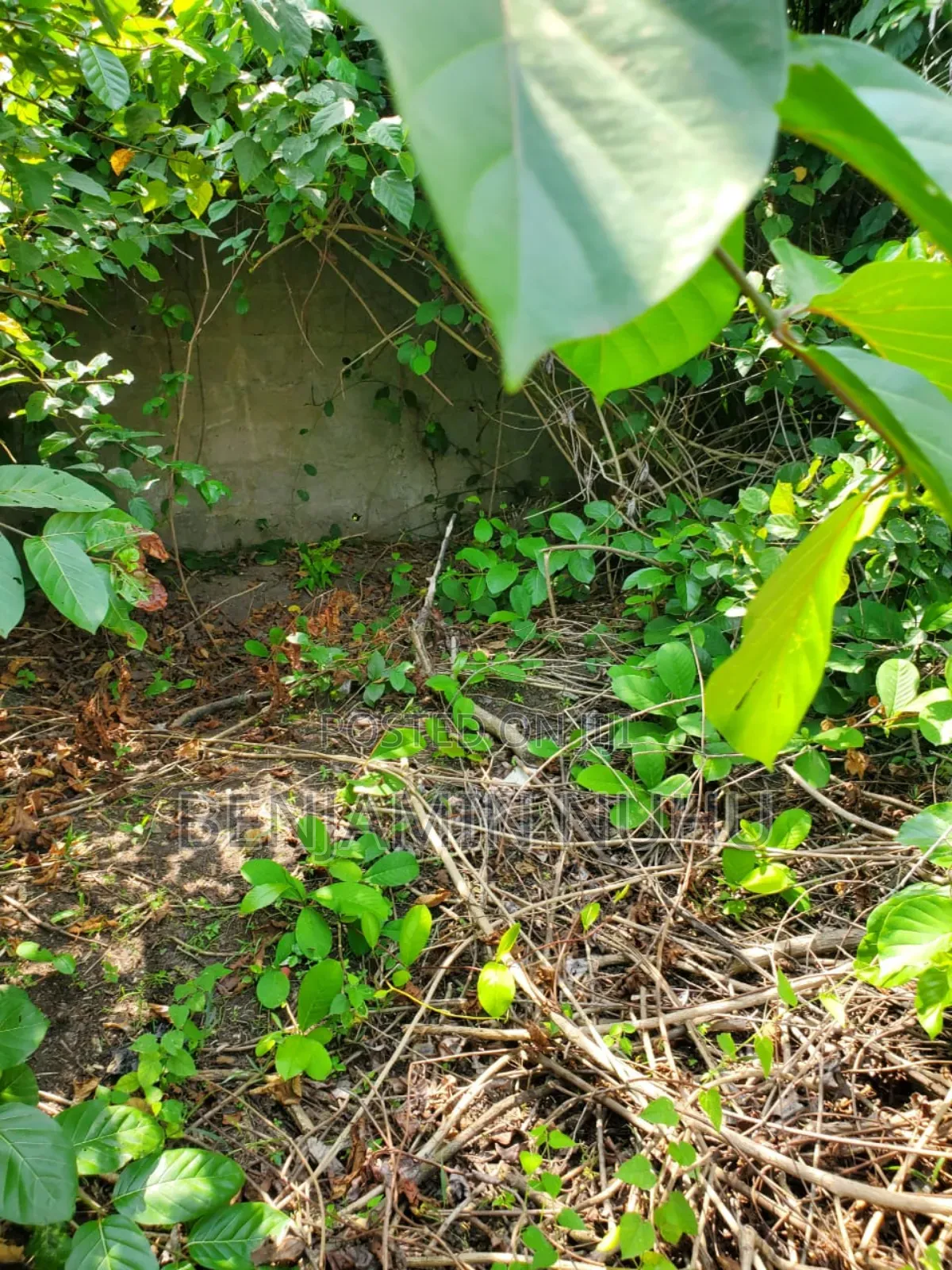 A C of O of Fully Dry Half Plot of Land in a Buy Built Environment in VGC / Ajah
