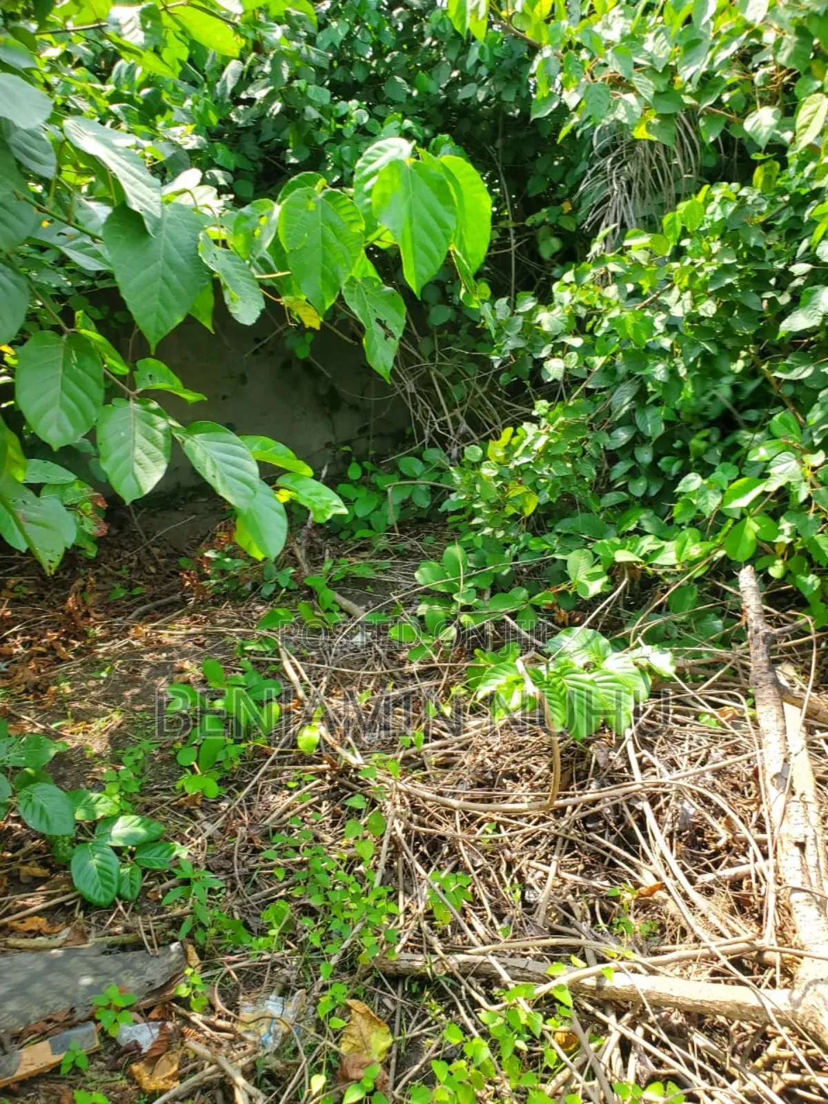 A C of O of Fully Dry Half Plot of Land in a Buy Built Environment in VGC / Ajah