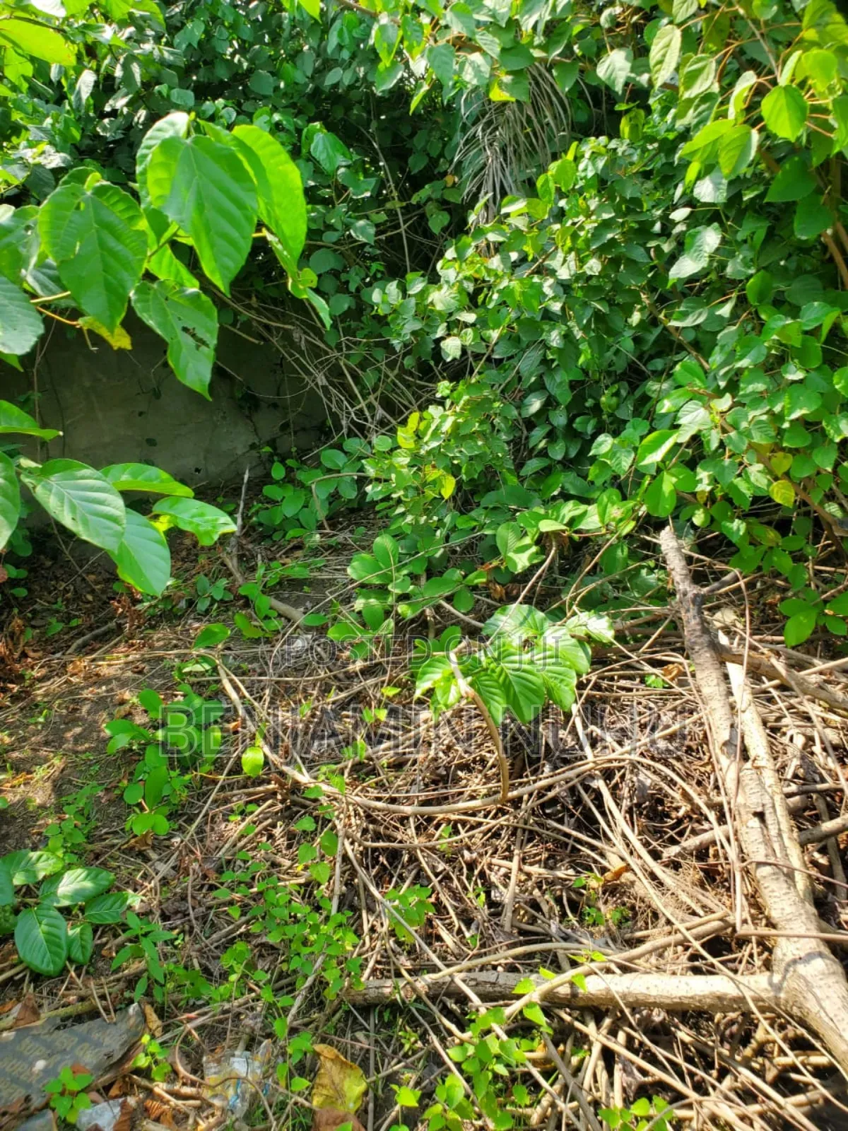 A C of O of Fully Dry Half Plot of Land in a Buy Built Environment in VGC / Ajah