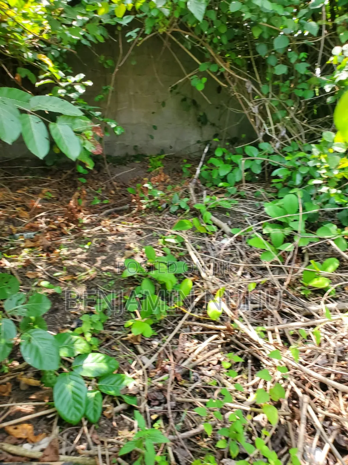 A C of O of Fully Dry Half Plot of Land in a Buy Built Environment in VGC / Ajah