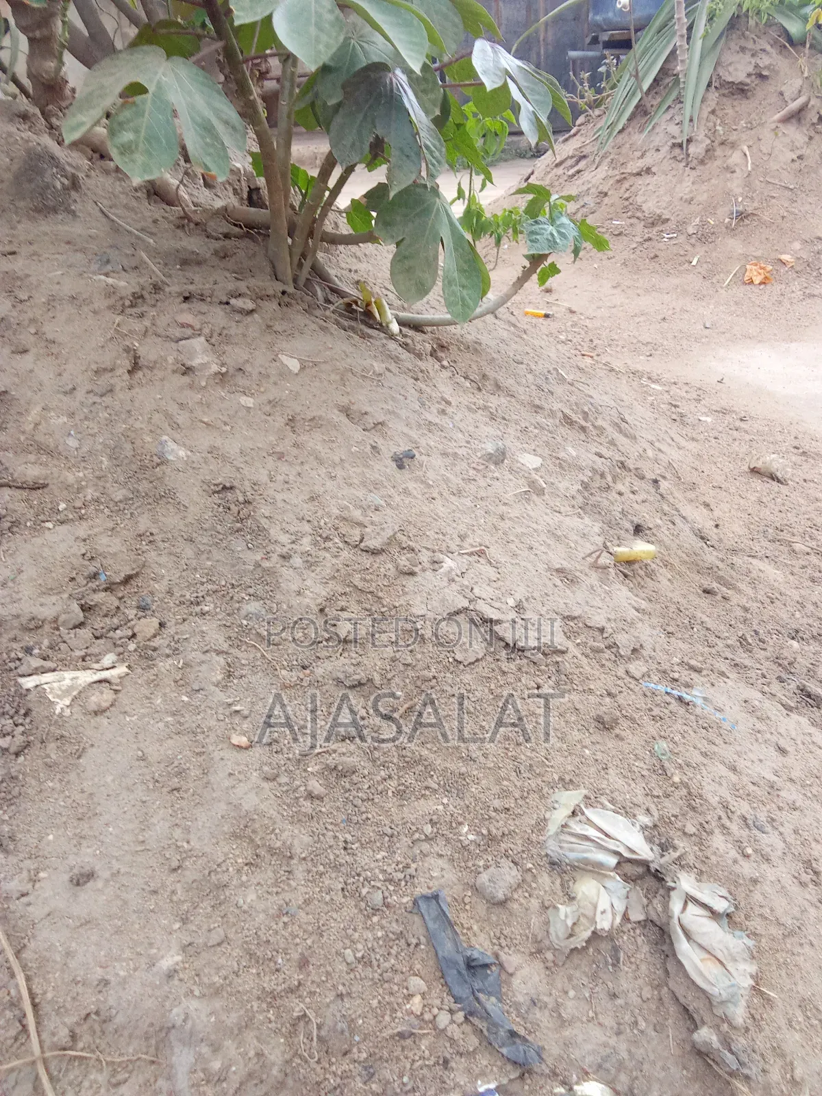 30 and 20 Acres of Land Four Sale in Obafemi-Owode