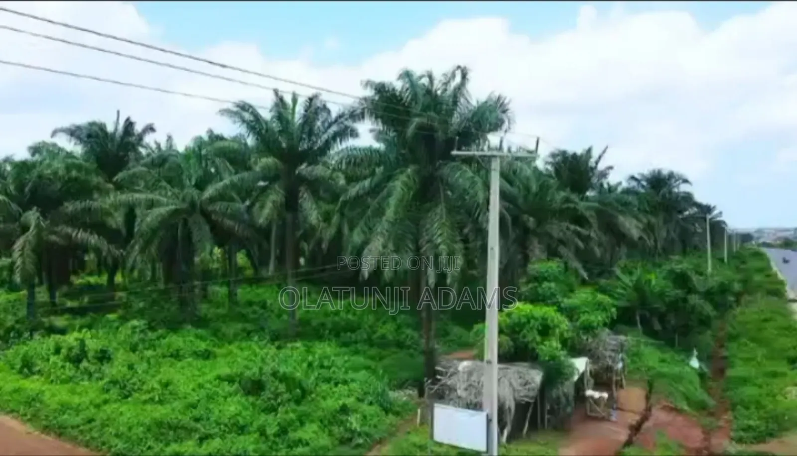 82.817acres of Palm Trees,Fish Pond Etc Farmland in Abeokuta North