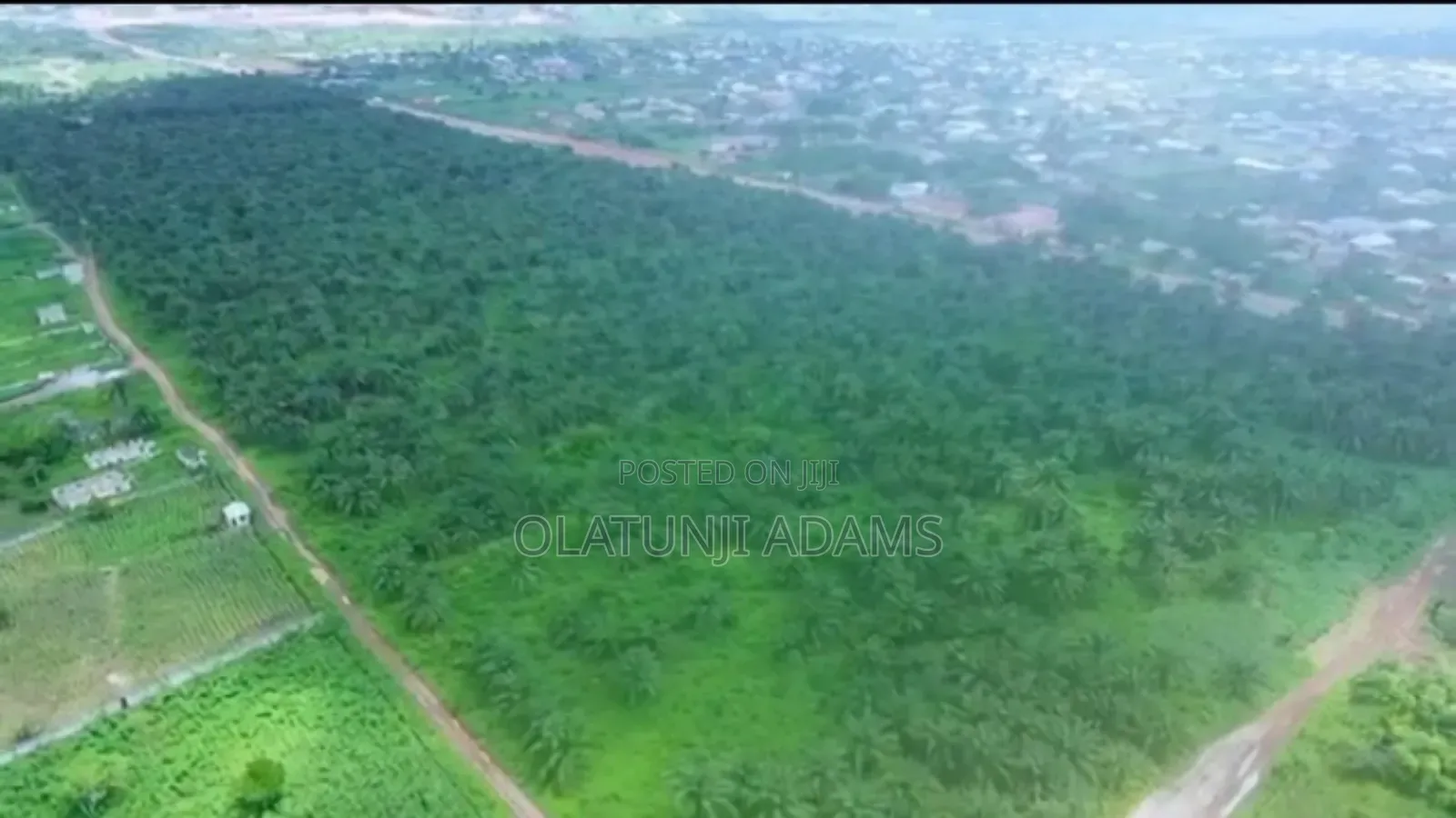 82.817acres of Palm Trees,Fish Pond Etc Farmland in Abeokuta North