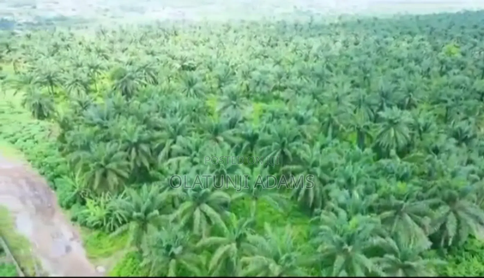 82.817acres of Palm Trees,Fish Pond Etc Farmland in Abeokuta North