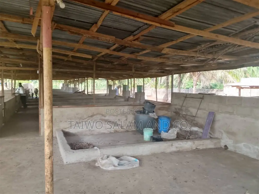 7 Acres Livestock Farm in Ogbomosho North