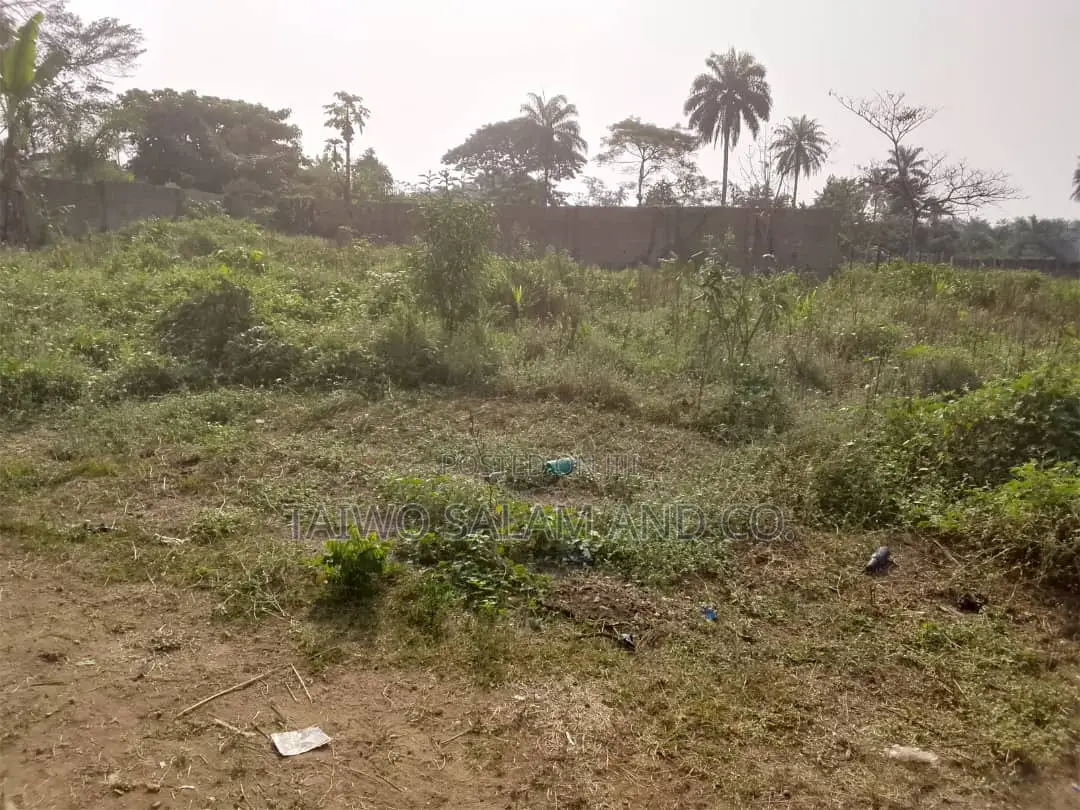 7 Acres Livestock Farm in Ogbomosho North