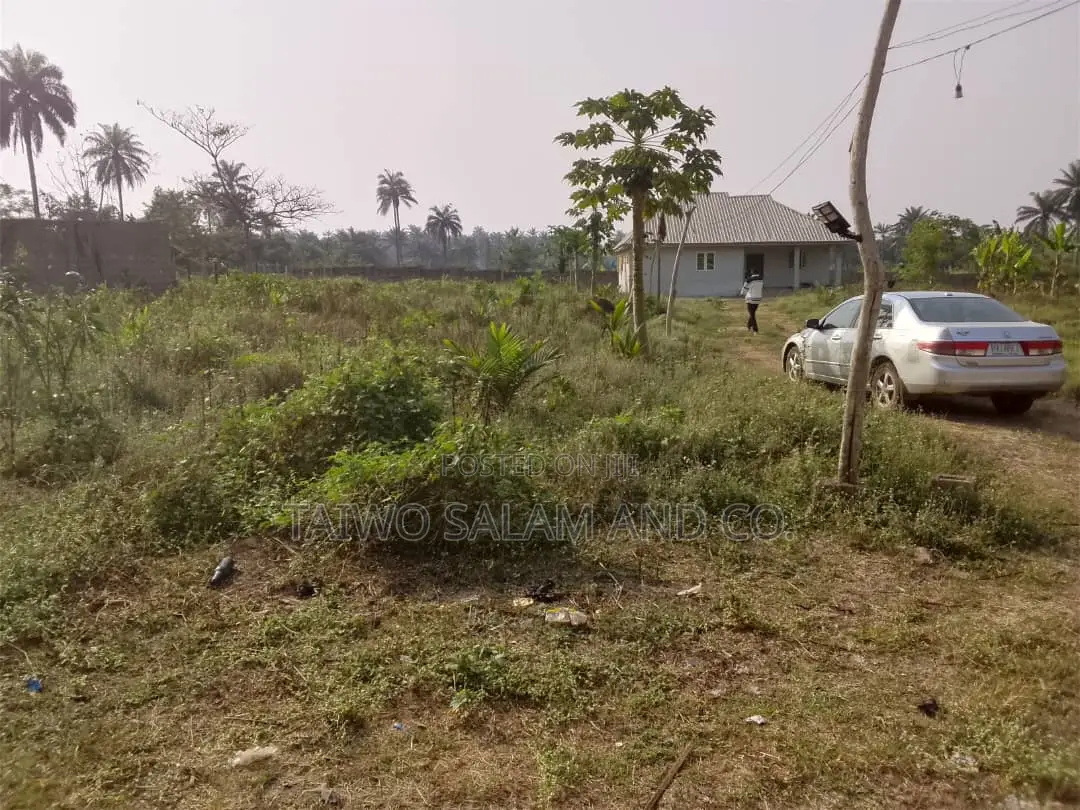 7 Acres Livestock Farm in Ogbomosho North