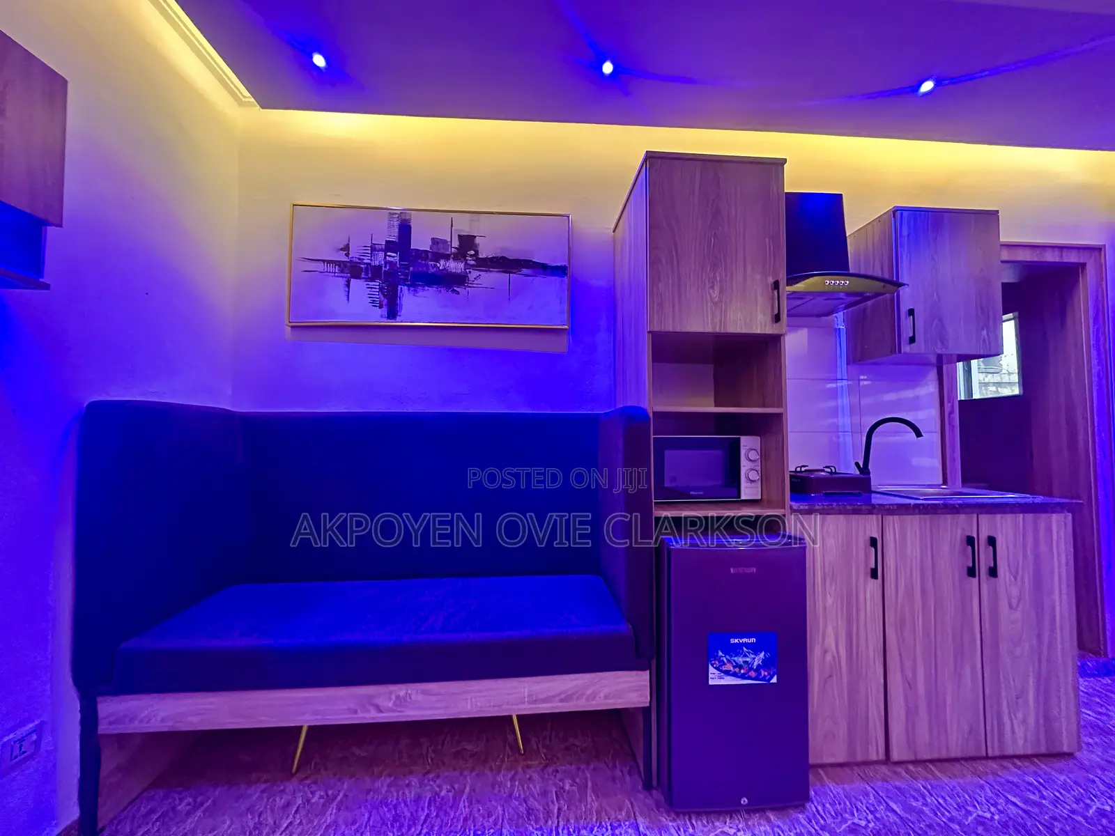 Furnished Studio Apartment in Garki 2 for rent in Garki 2