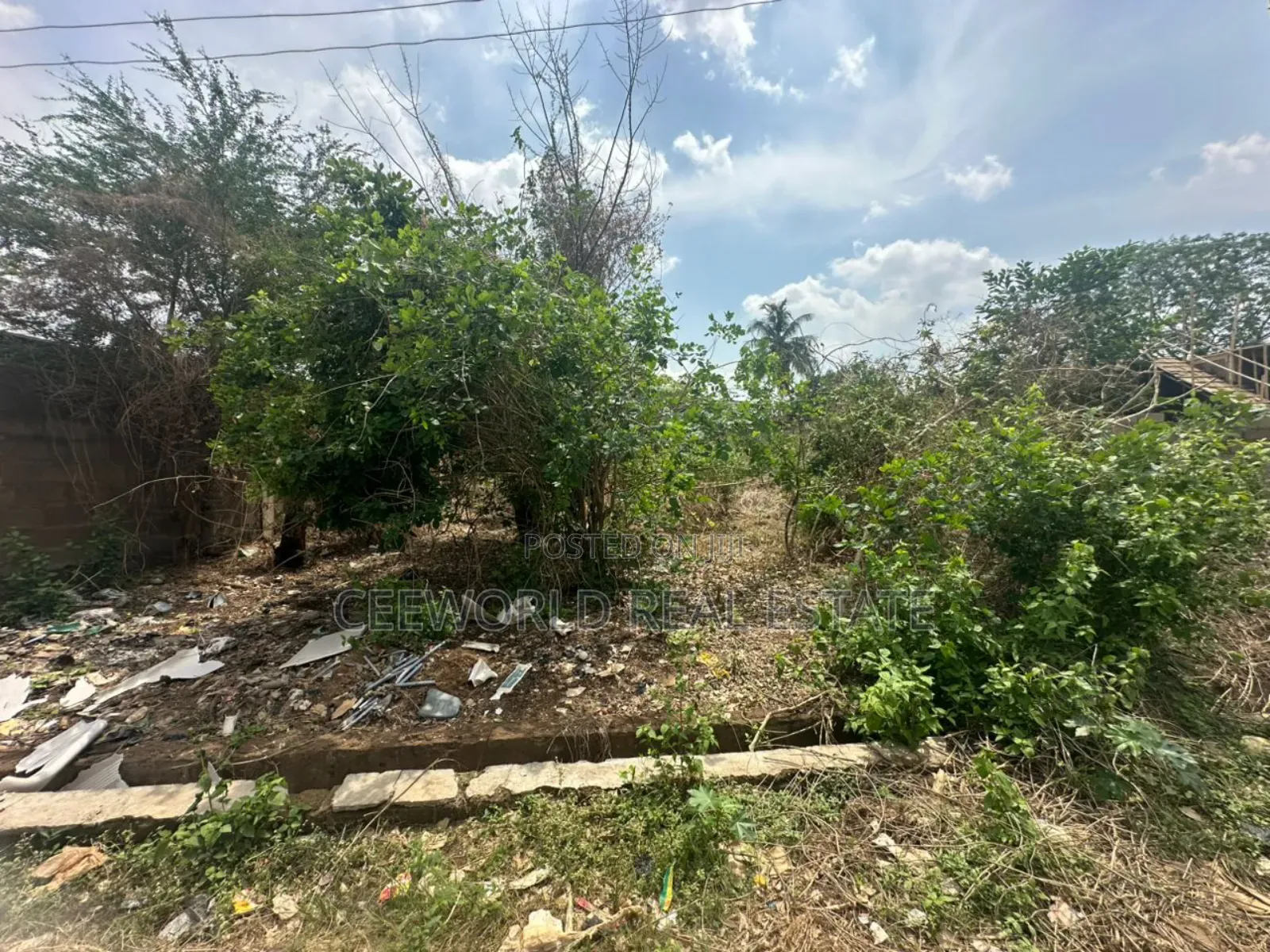 Omolayo Estate, Akobo, Ibadan 550sqm - 40m 667sqm - in Akobo