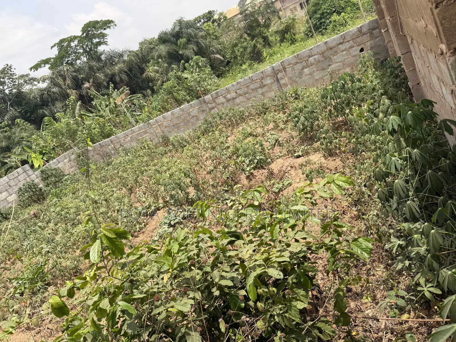 Redcopy Survey a Fenced Plot of Land at Ologolo Estate in Jericho
