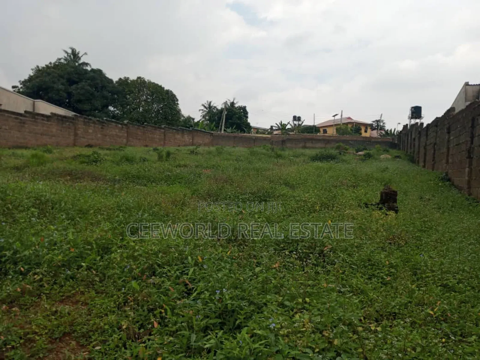 650sqm(With Around 1000sqm Setback Available for Sale at Akobo Bridge in Akobo