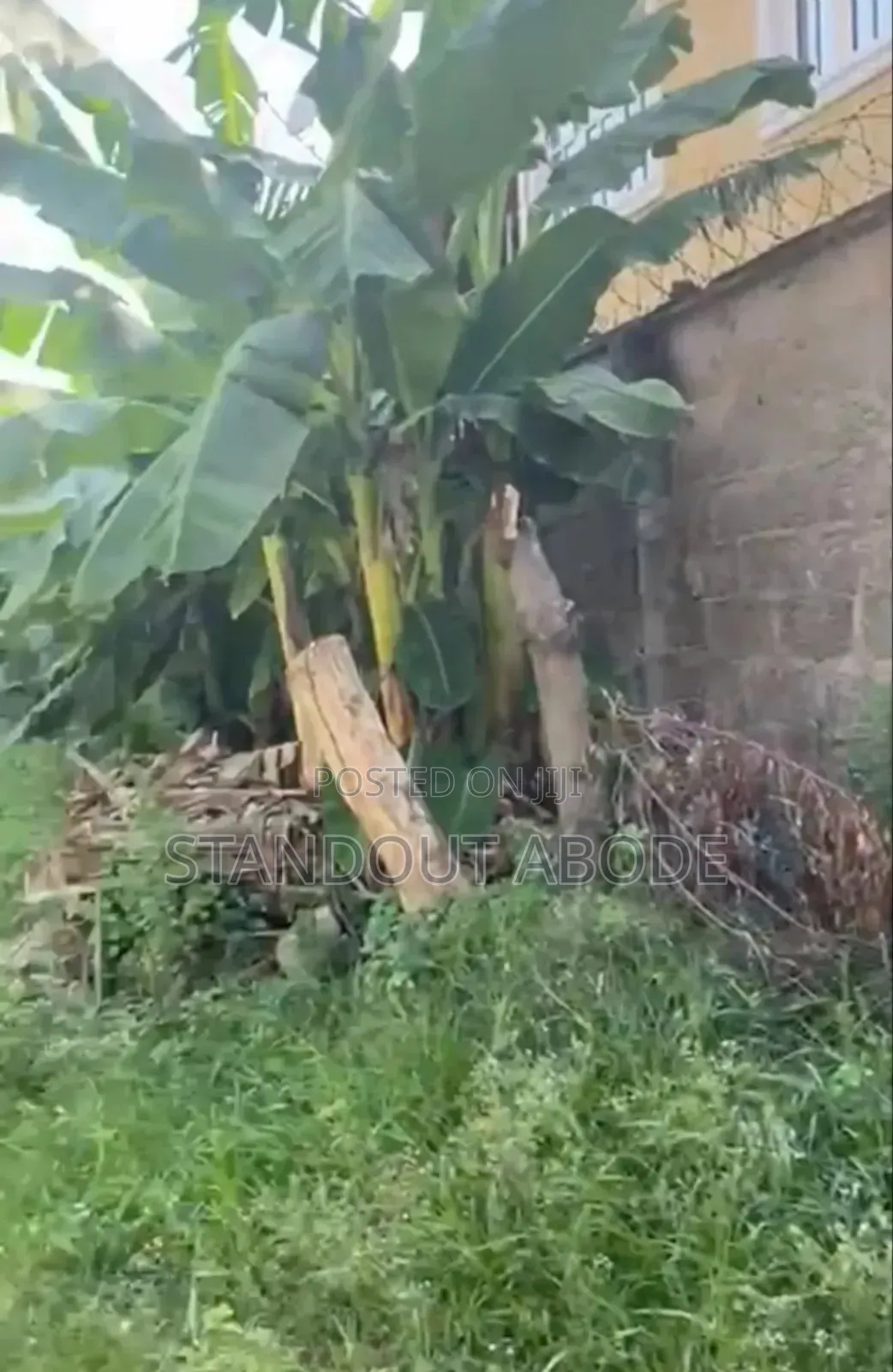 Buy A Land With A Setback Old 3 Bedroom In Egbeda in Egbeda