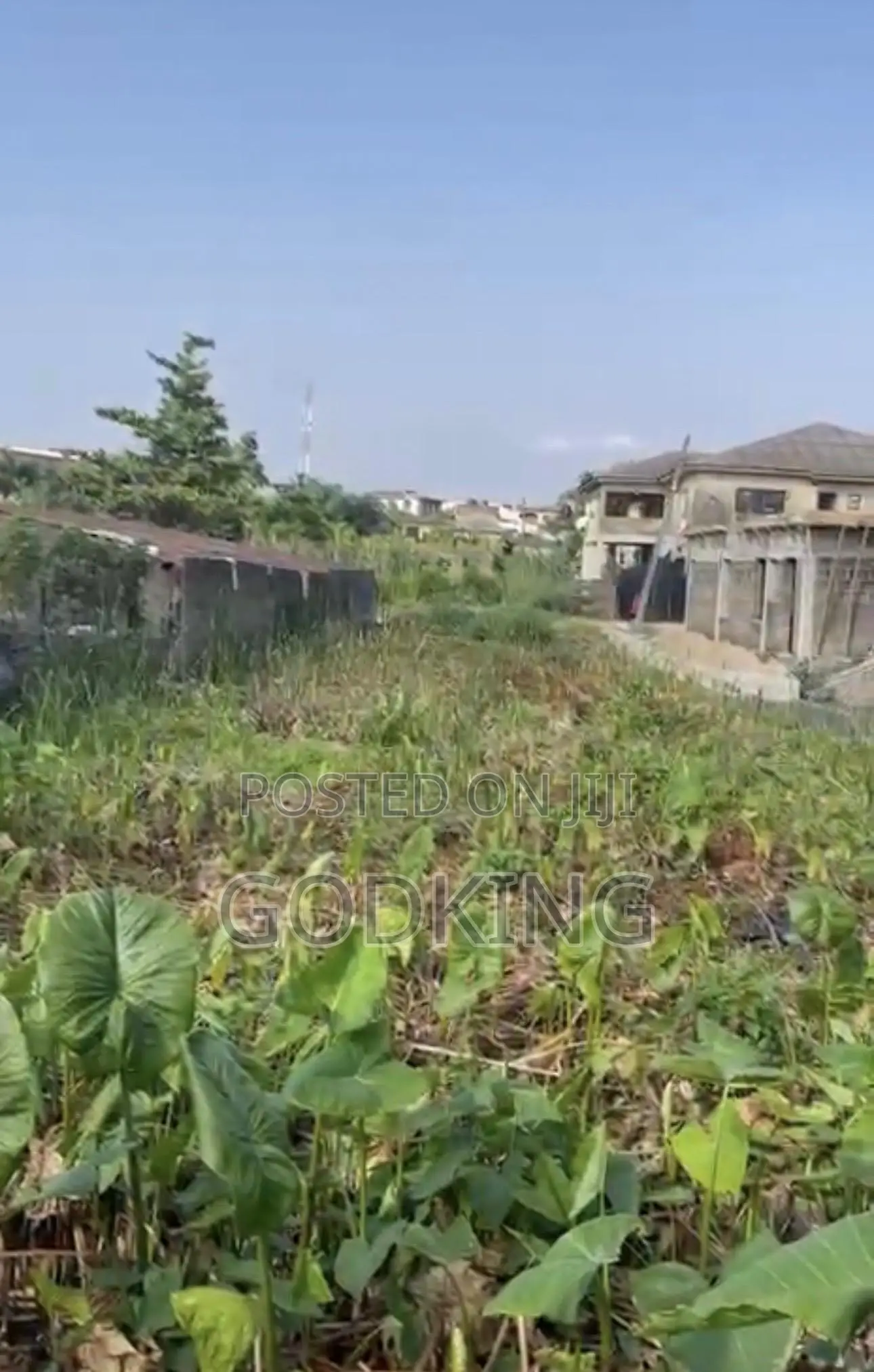 Virgin Land for Sale in Igboluwo Estate, Jumofak Ikorodu. in Ikorodu