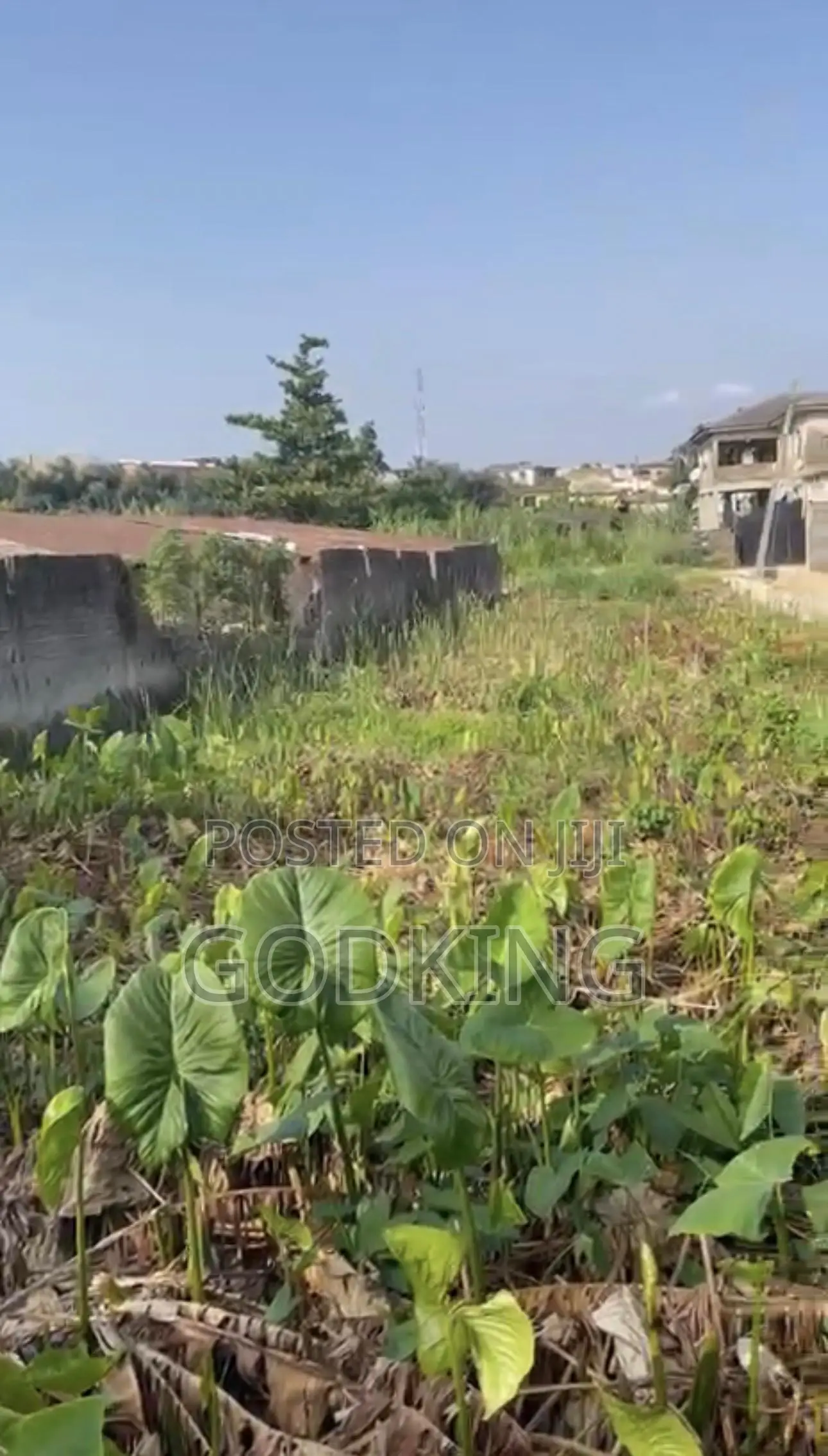 Virgin Land for Sale in Igboluwo Estate, Jumofak Ikorodu. in Ikorodu