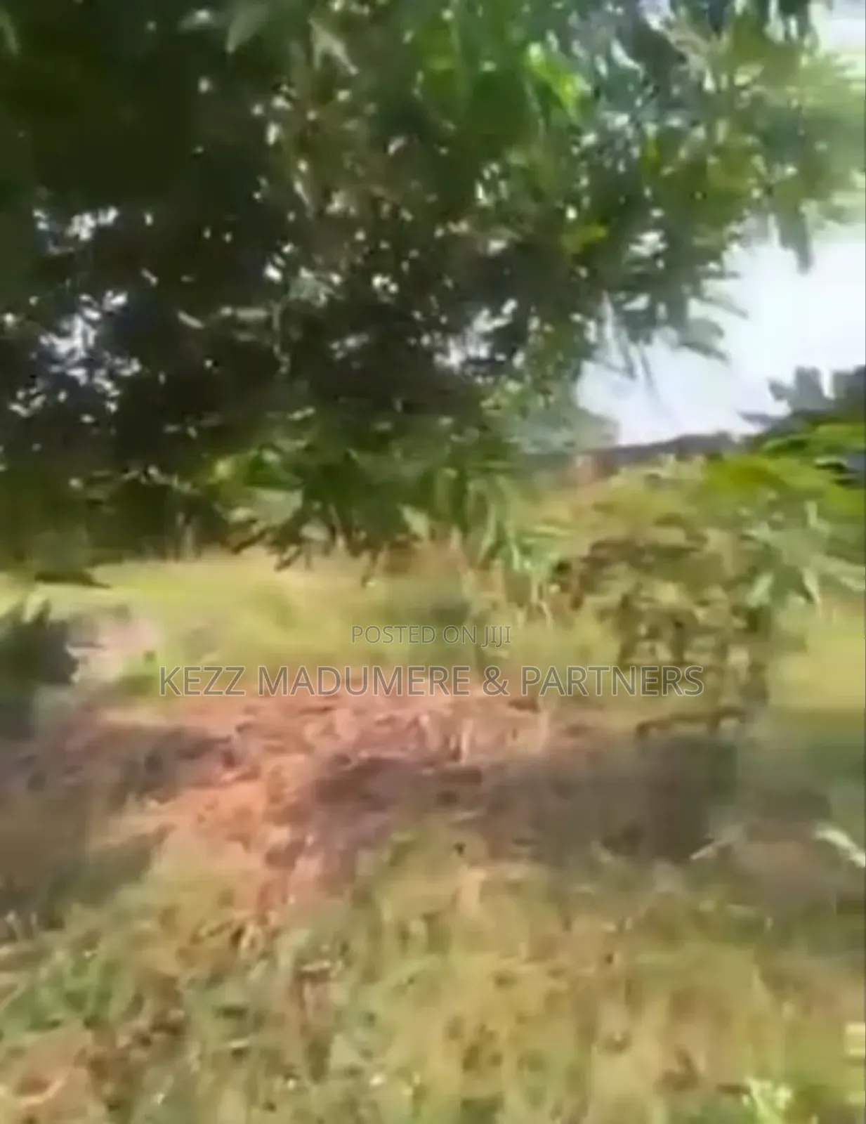For Sale : Cofo 2:1⁄2 at Woji, Port Harcourt in Woji