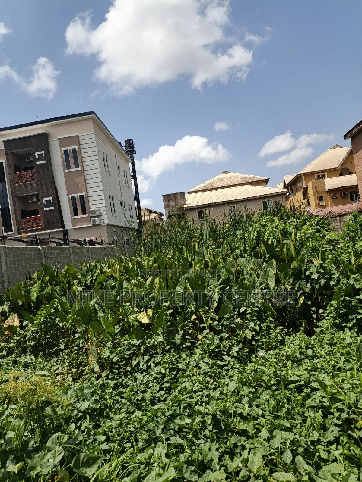A Plot of Land for Sale in Okota