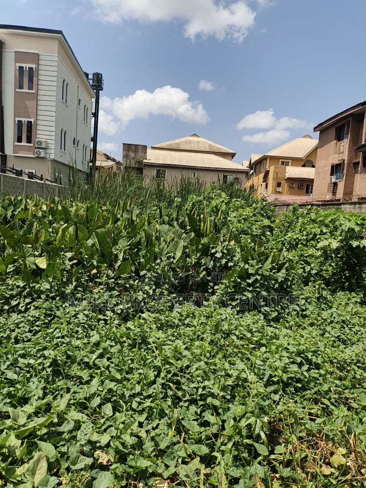 A Plot of Land for Sale in Okota