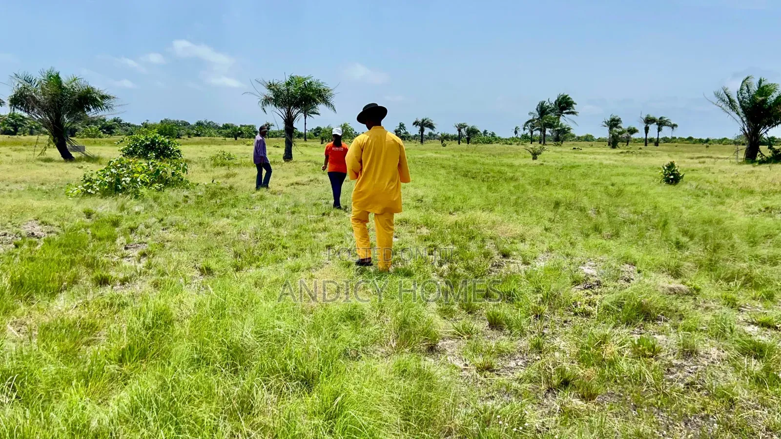 Land With Cofo File No and Registered Survey for Sale at Ode Omi in Ibeju-Agbe