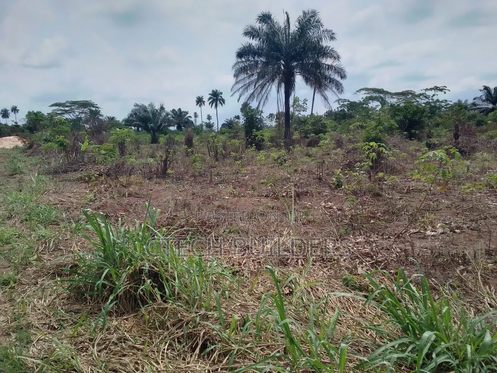 Land Sales in Benin City