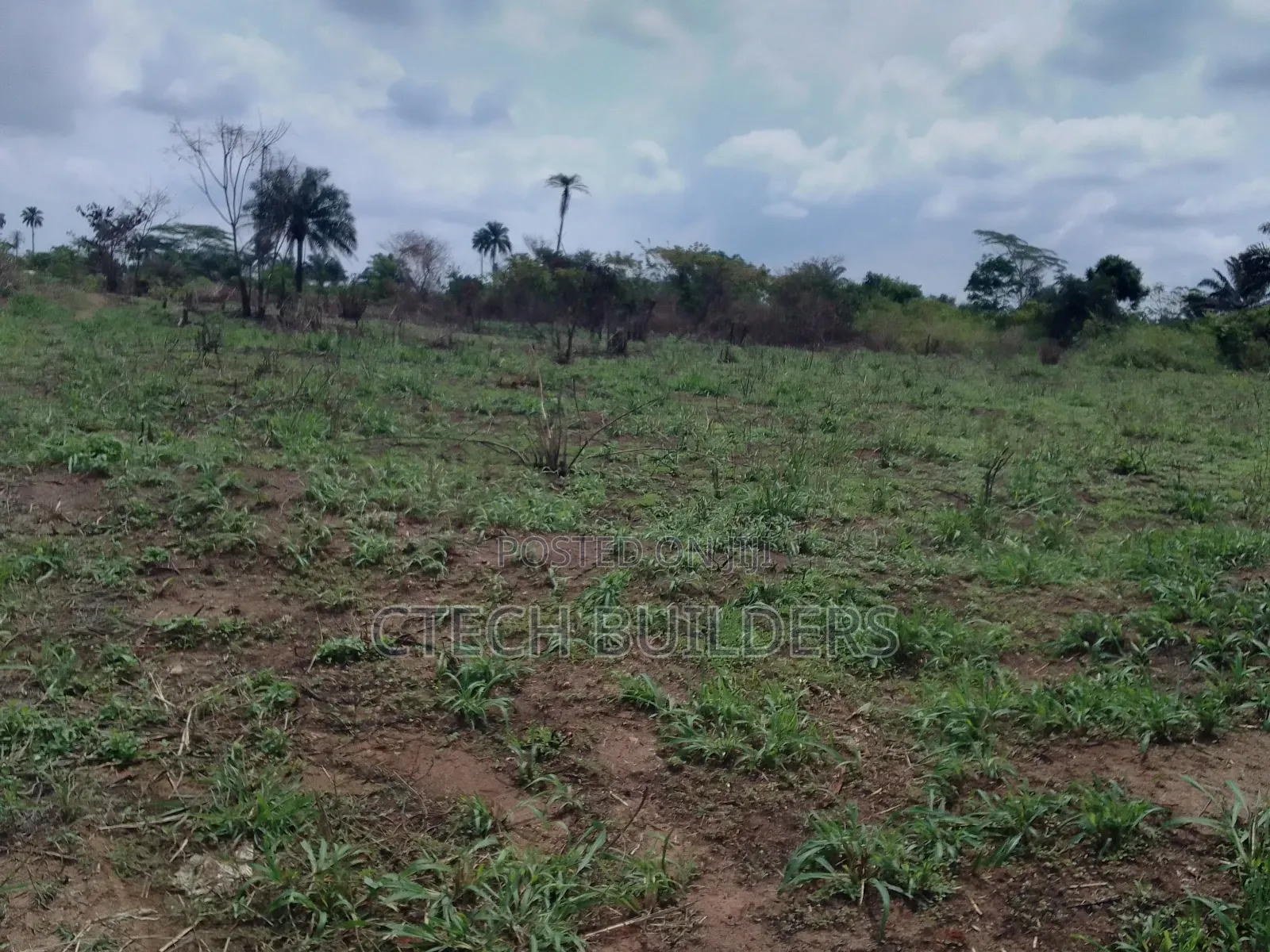 Land Sales in Benin City