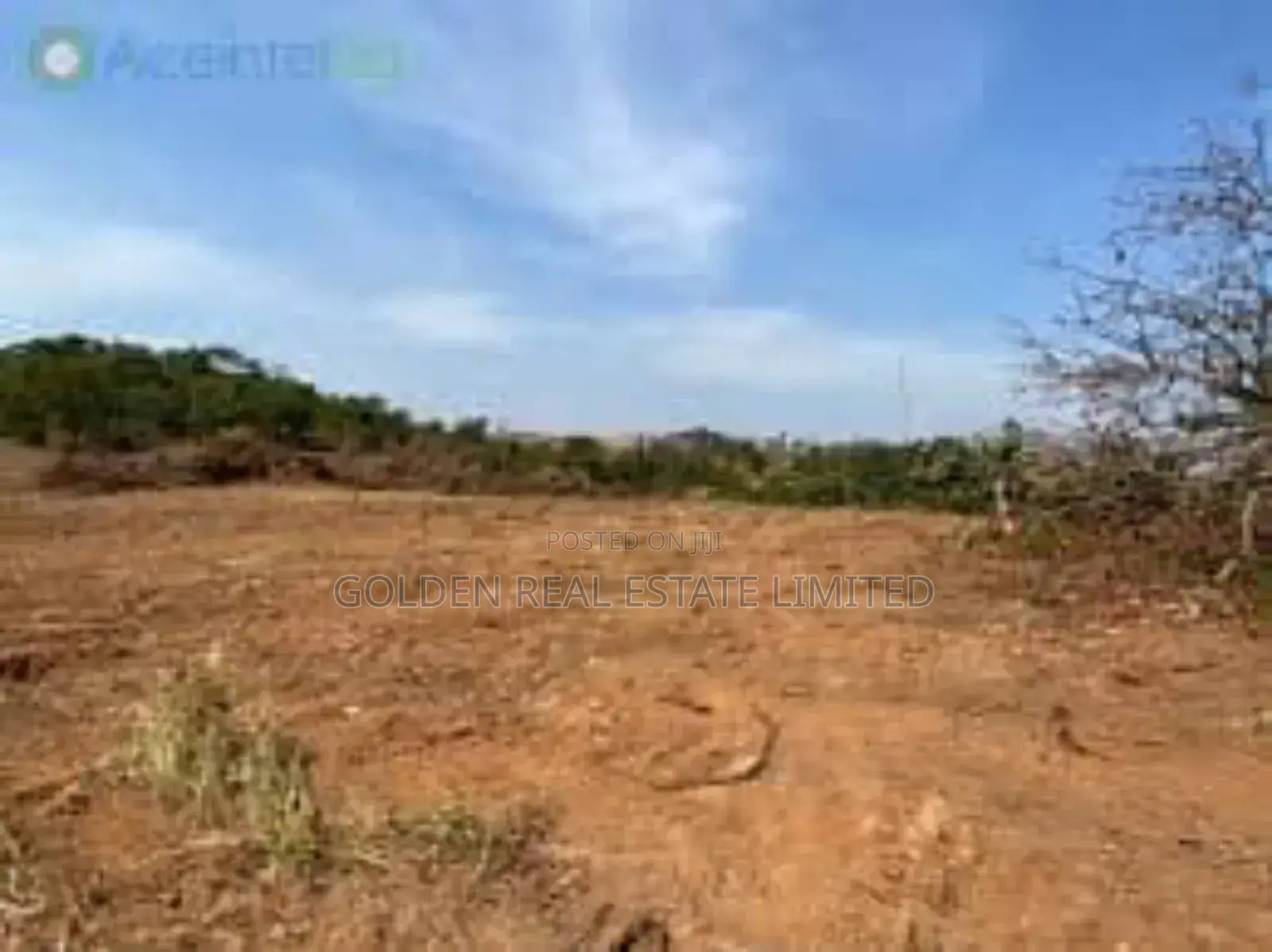 Do You Have Hectares/ Acres of Land to Sell ? Partner With Us Today. in Ado Ekiti