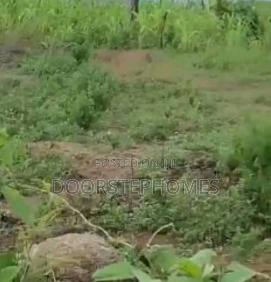 1.18 Hectares Residential Land for Sale in Wasa in Wasa