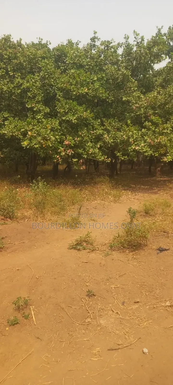 14,000sqm Land in Dape