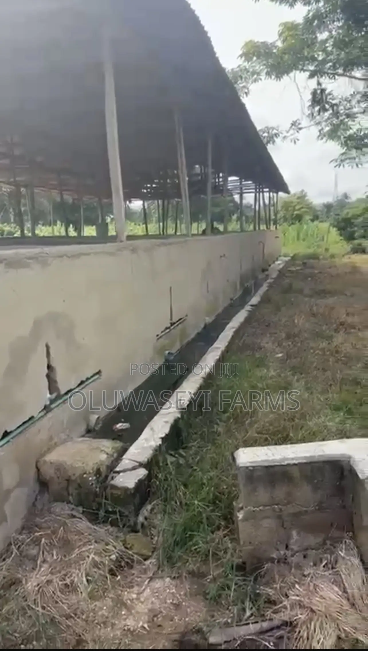 Pig Farm for Sale in Osogbo