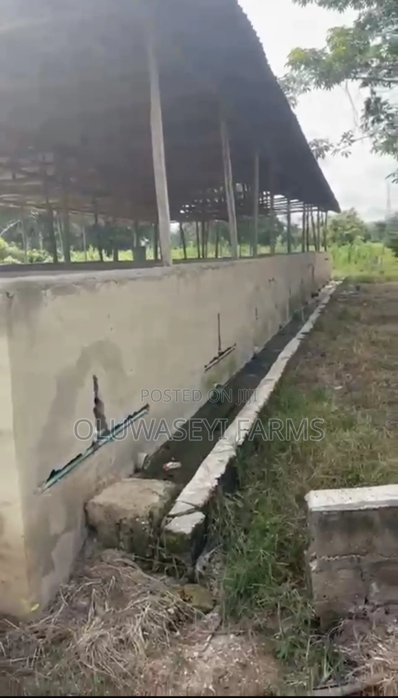 Pig Farm for Sale in Osogbo