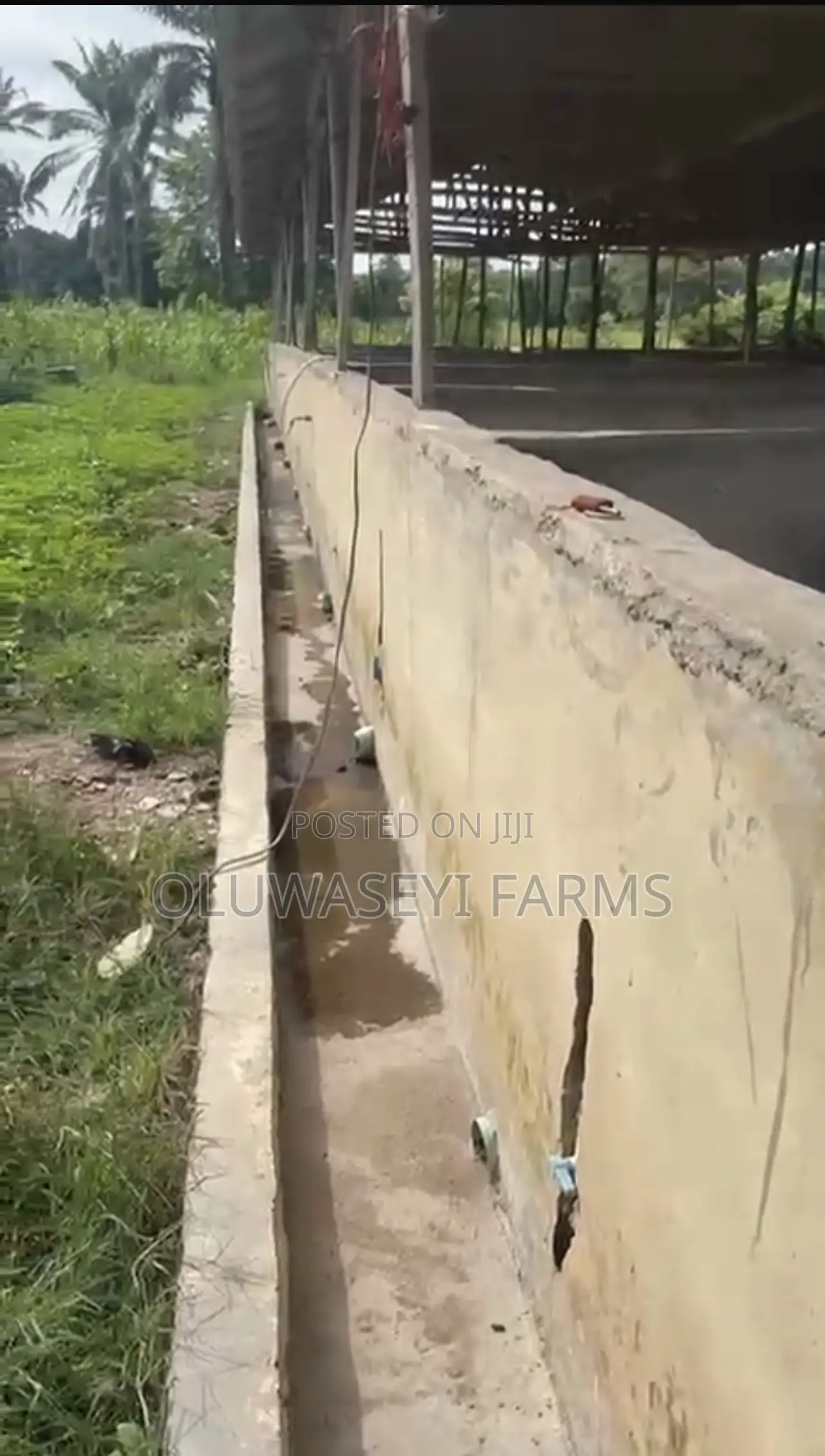 Pig Farm for Sale in Osogbo
