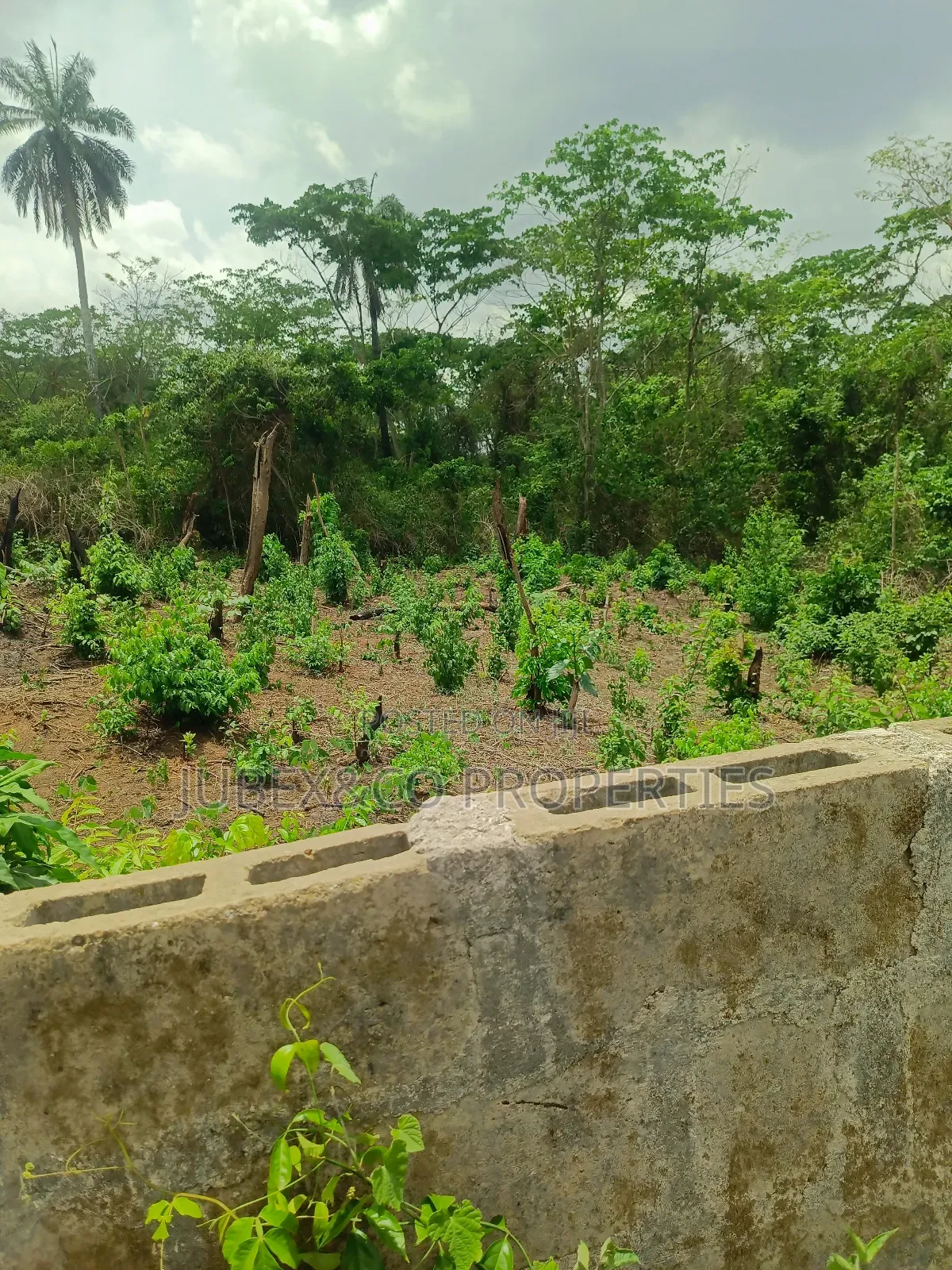 3 Plots for Poultry at Isiun Abeokuta in Obafemi-Owode