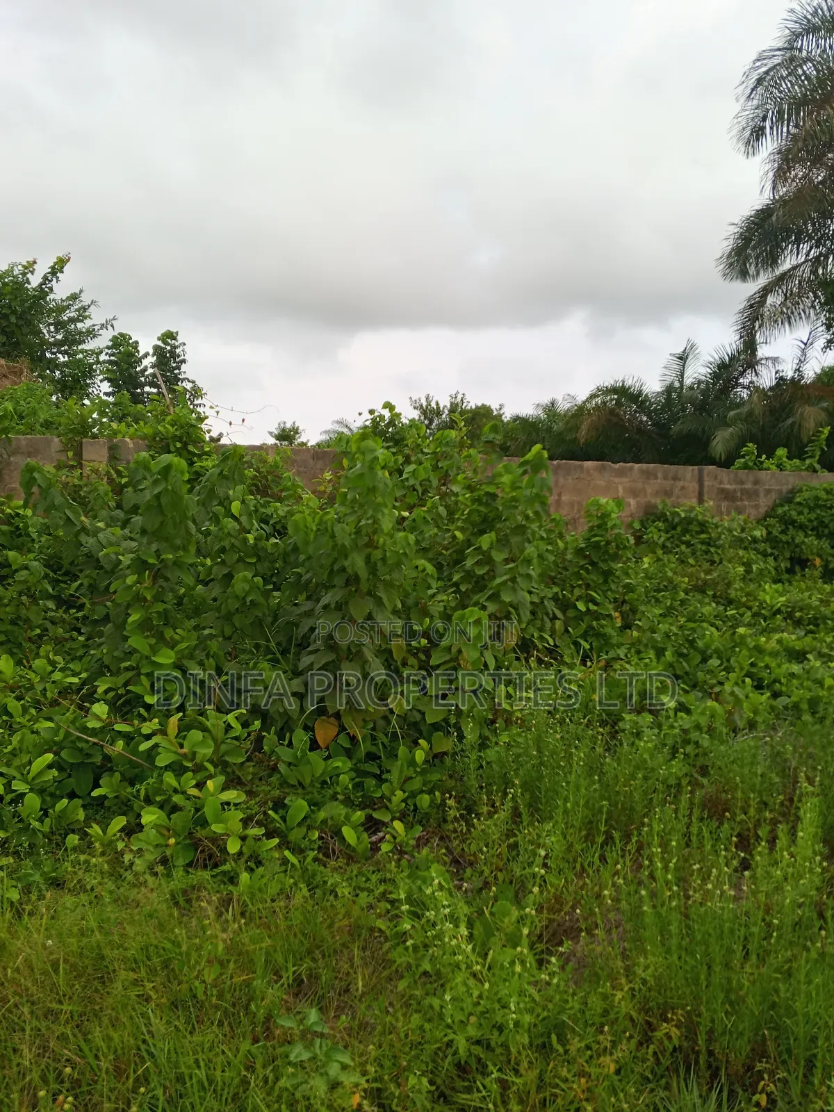1247 SQM of Dry Land in Sangotedo in Sangotedo