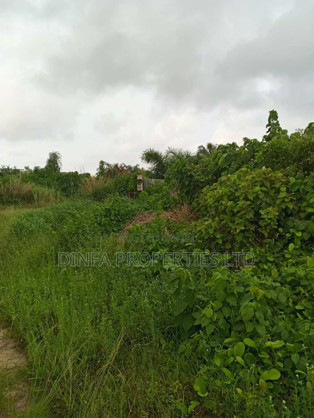 1247 SQM of Dry Land in Sangotedo in Sangotedo