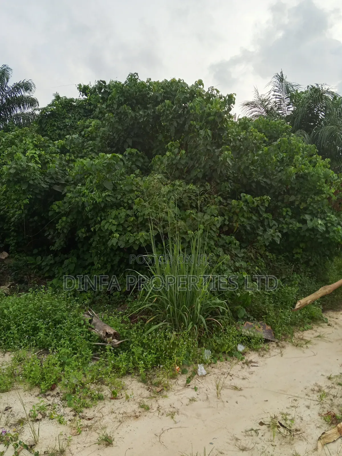 1650sqm of Dry Land for Sale in Sangotedo in Sangotedo