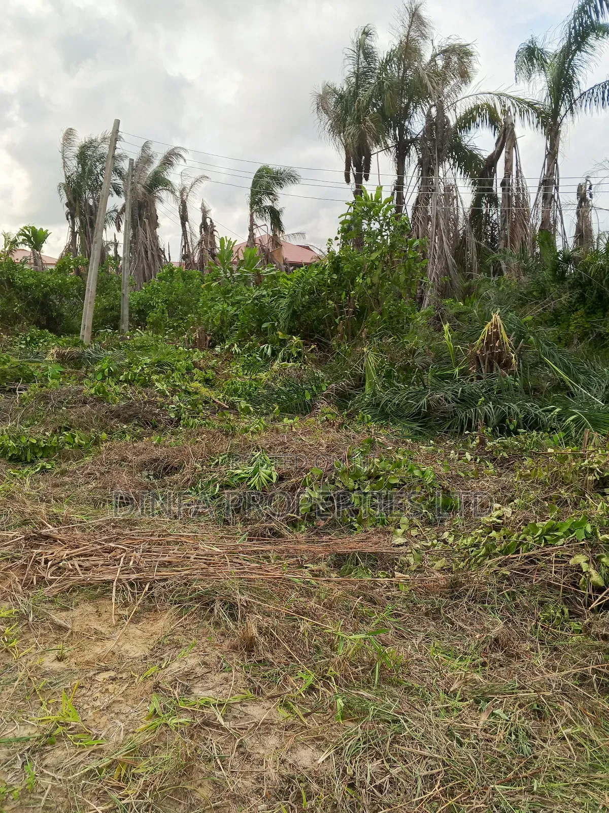 1650sqm of Dry Land for Sale in Sangotedo in Sangotedo
