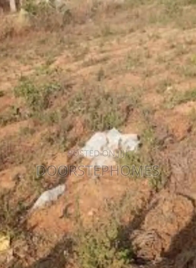 8 Hectares Mixed-Use Land for Sale in Guzape 2 in Guzape District