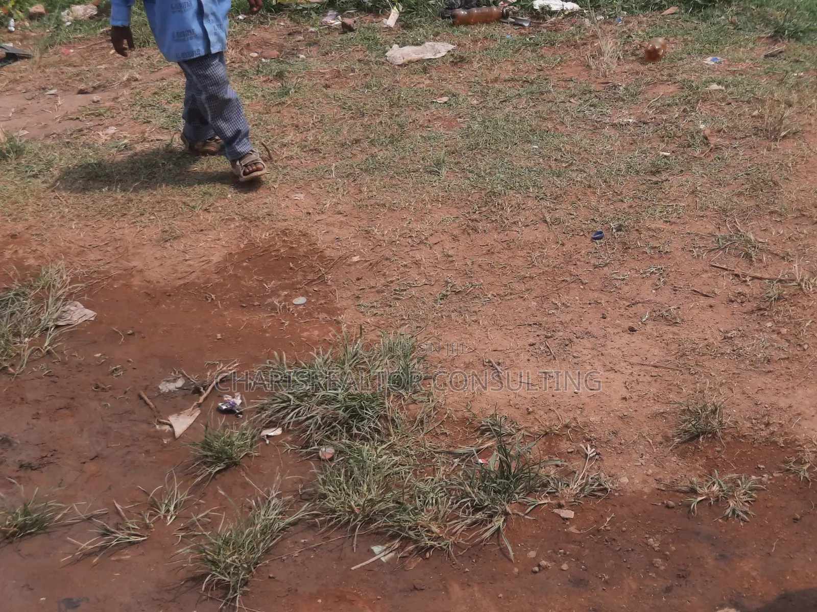 Plantations 15 Acres Farm Arable Estate in Ife
