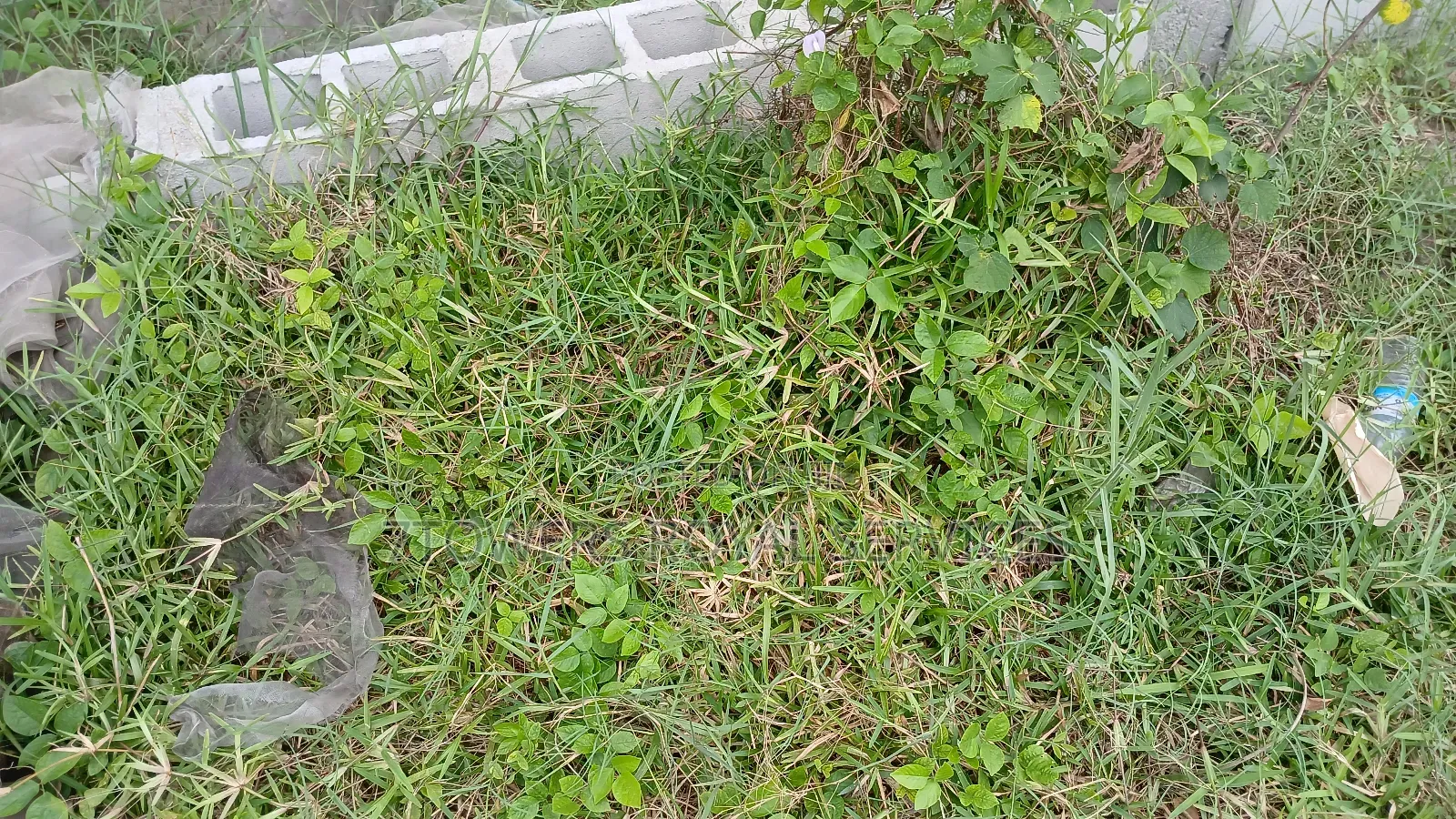 4bdrm Bungalow in Close To Epe Campus for sale in Epe