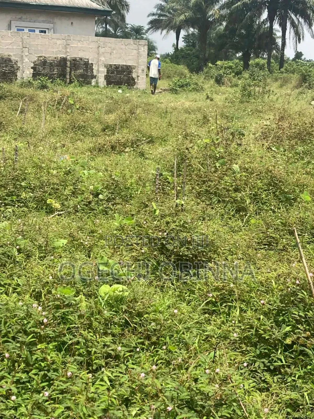 Genuine Land for Sale at Omagwa Station in Port-Harcourt