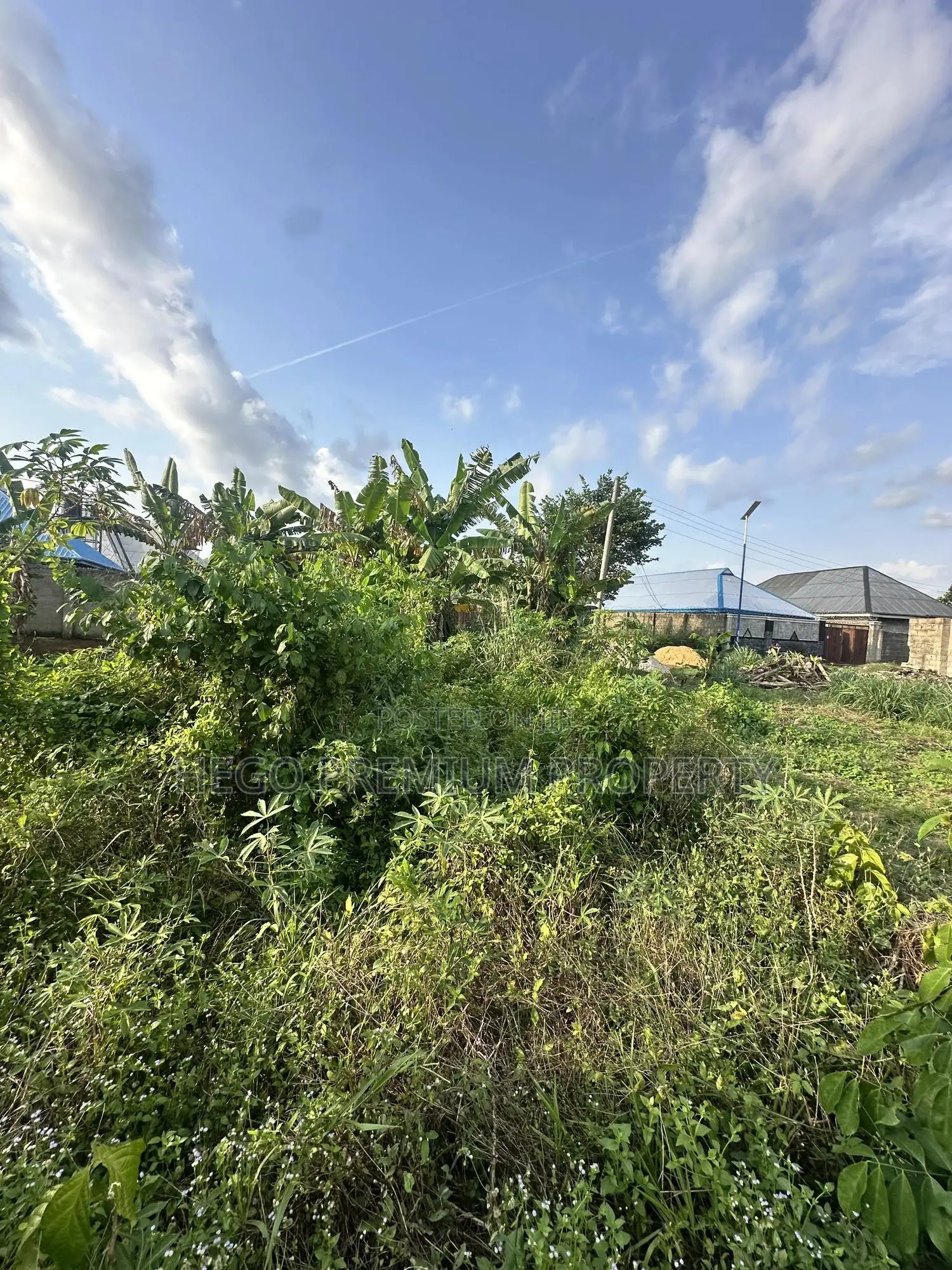 1plotof Land for Sale in Port Harcourt in Choba