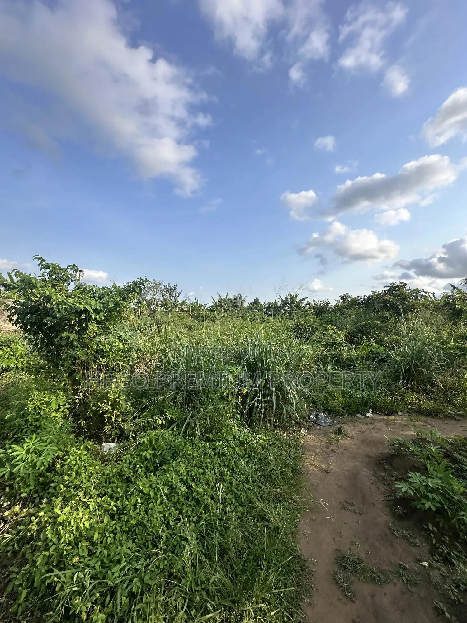 1plotof Land for Sale in Port Harcourt in Choba